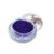 La Splash  16510 Crystallized Glitter Eye Shadow – Purple Rain