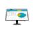 HP  N246V شاشة 23.8 بوصة Full HD 1080P VGA LED