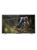 Jac 32N 32 Inch HD LED TV, IPS Panel