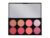 Ultra Blush Palette in Sugar and Spice Revolution UK Blush Palette